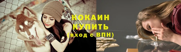 мдпв Лихославль