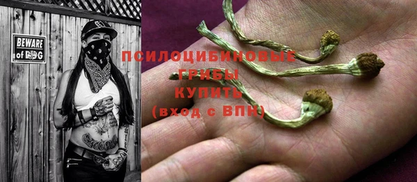 мдпв Лихославль